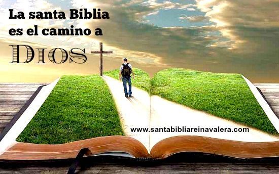 Concordancia Biblica 1960 En Pdf